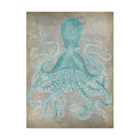 Jennifer Goldberger 'Spa Octopus I' Canvas Art,35x47
